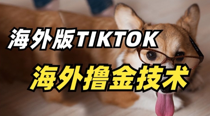 抖音海外版tiktok撸金技术，这个风口行业，赚钱真的不难-优优云网创