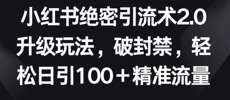 小红书绝密引流术2.0升级玩法，破封禁，轻松日引100+精准流量-优优云网创
