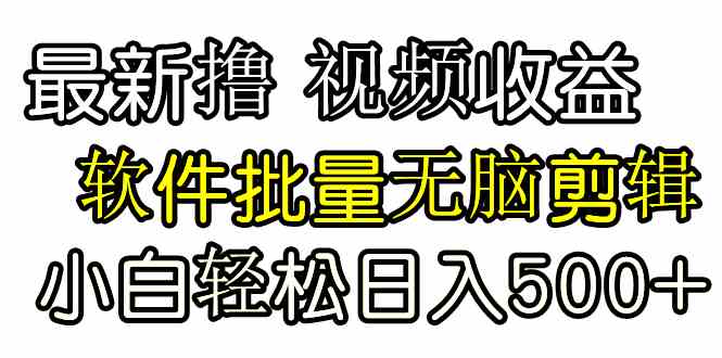 （9569期）发视频撸收益，软件无脑批量剪辑，第一天发第二天就有钱-优优云网创