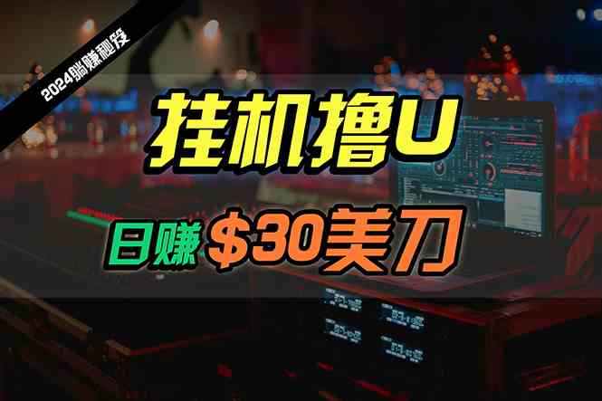 （10013期）日赚30美刀，2024最新海外挂机撸U内部项目，全程无人值守，可批量放大-优优云网创