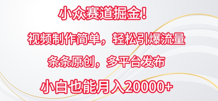 小众赛道掘金，视频制作简单，轻松引爆流量，条条原创，多平台发布-优优云网创