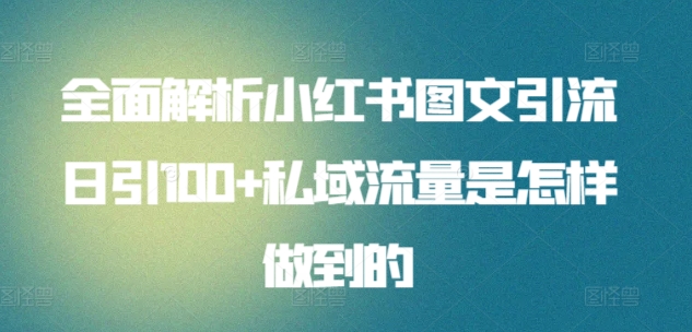 全面解析小红书图文引流日引100+私域流量是怎样做到的-优优云网创