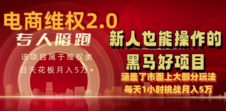 电商维权 4.0 如何做到月入 5 万+每天 1 小时新人也能快速上手【仅揭秘】-优优云网创